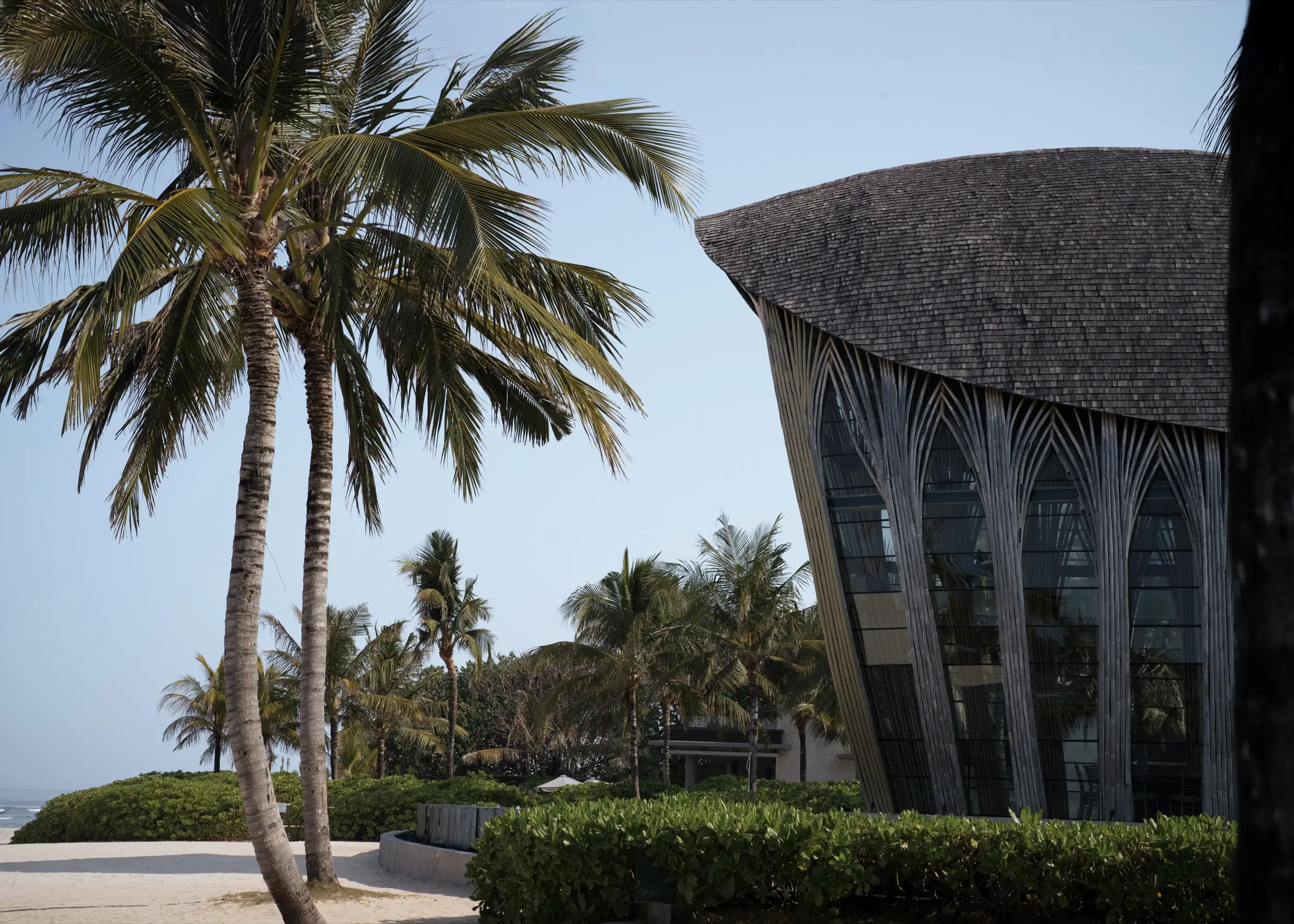 Spaces and architecture: palm tree against a shell-roofed beach pavilion
