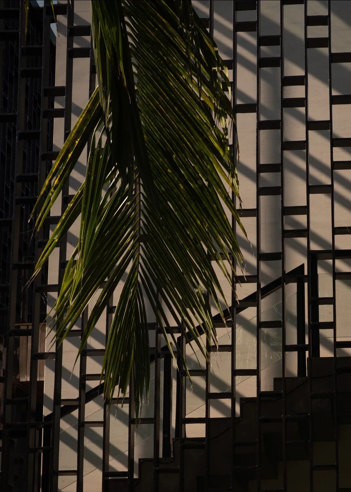 Spaces and architecture: palm frond against a shadow-lined resort facade